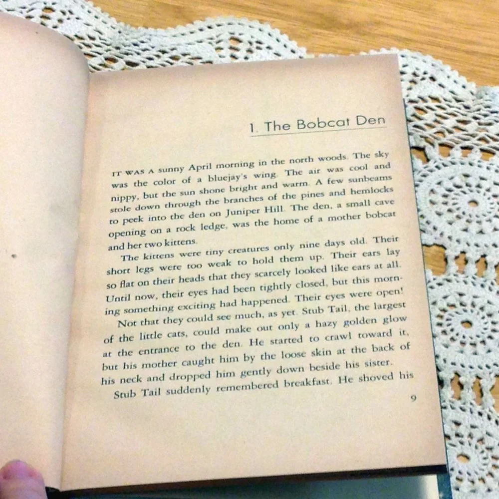 Book Sale! 3 for $10! Vintage Middle Grades Hardback - Bobcat